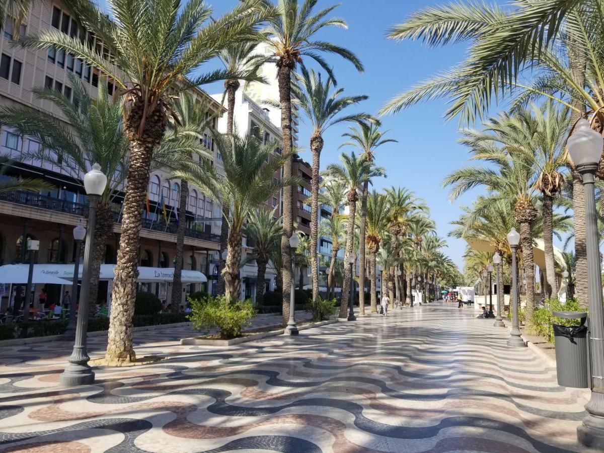 Calle Ingeniero Canales N 14, 2 Izq 03013 لقنت المظهر الخارجي الصورة